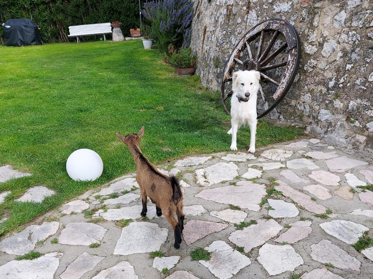 Agriturismo Campagna In Compagnia Vallo di Nera Eksteriør billede