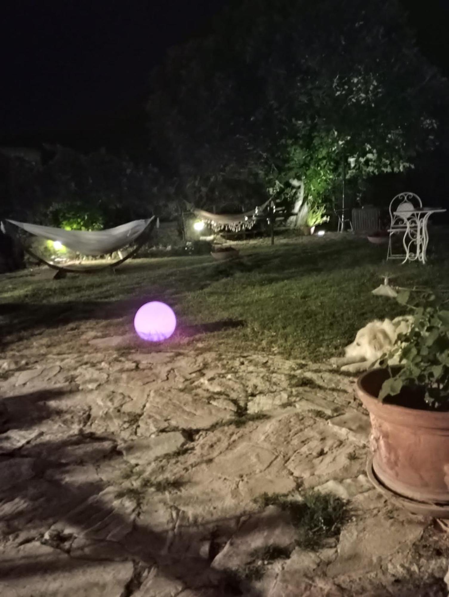 Agriturismo Campagna In Compagnia Vallo di Nera Eksteriør billede