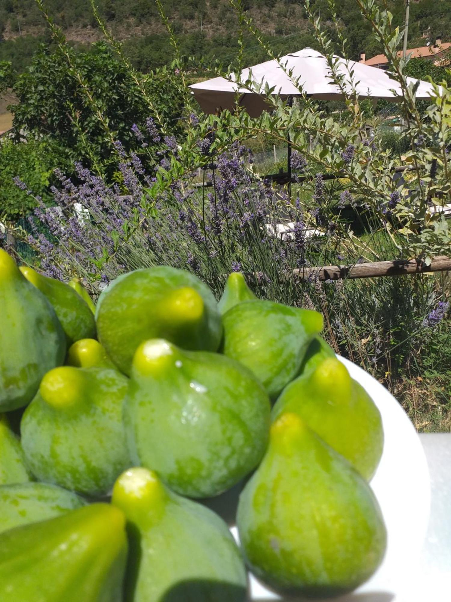 Agriturismo Campagna In Compagnia Vallo di Nera Eksteriør billede