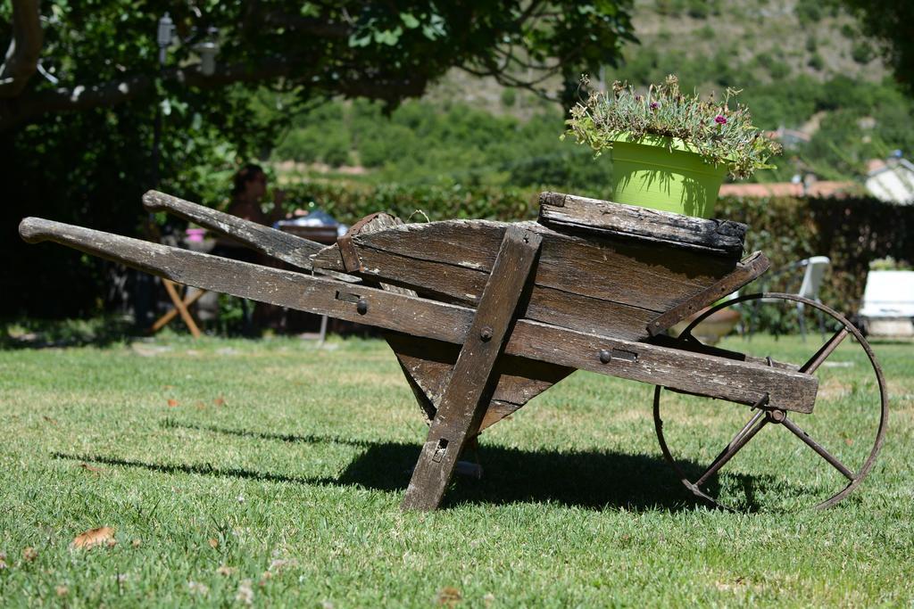 Agriturismo Campagna In Compagnia Vallo di Nera Eksteriør billede