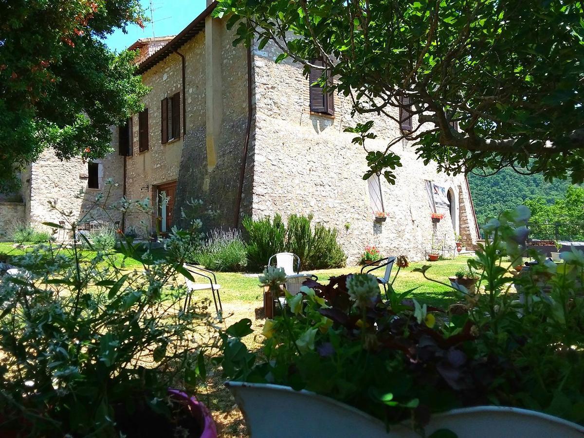 Agriturismo Campagna In Compagnia Vallo di Nera Eksteriør billede