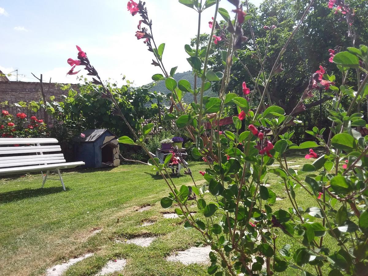 Agriturismo Campagna In Compagnia Vallo di Nera Eksteriør billede